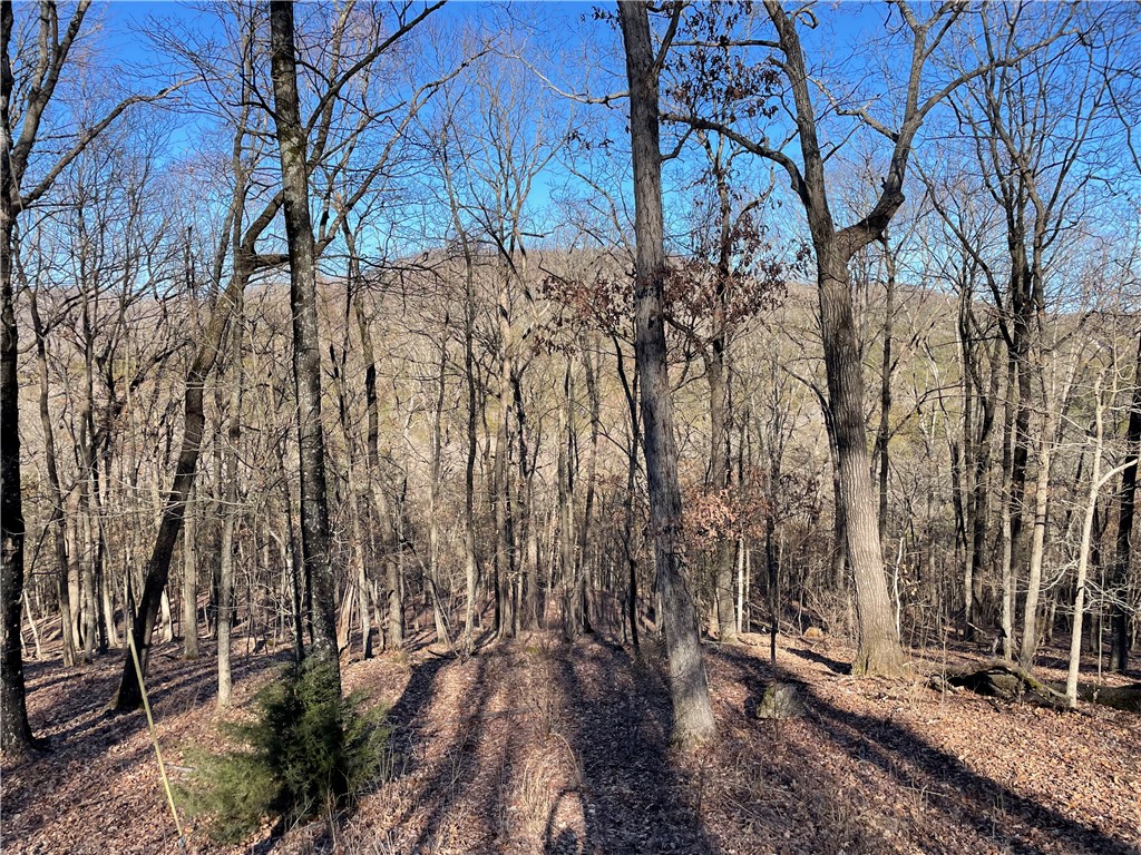 23 Wildcat Lane 11