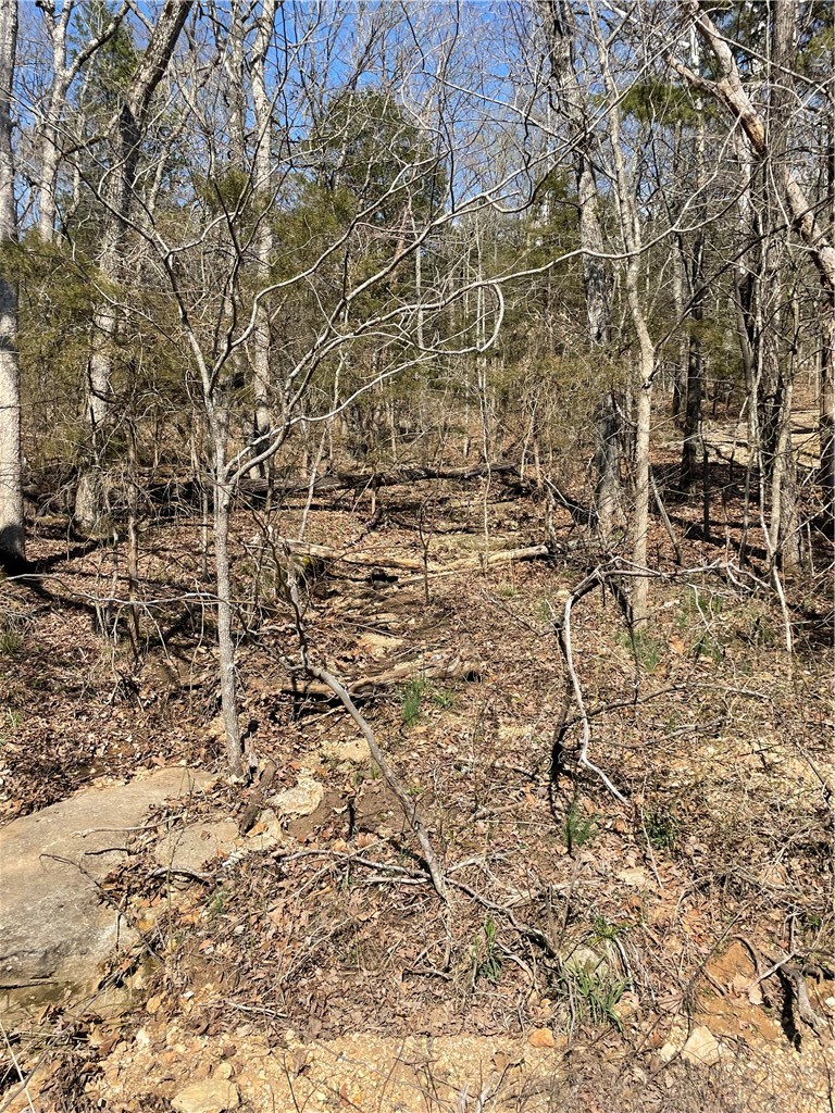 18 North Star Loop