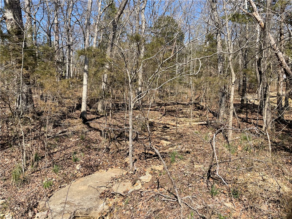 18 North Star Loop