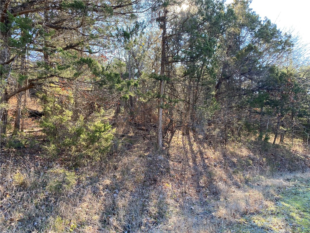 14 Hillside Drive 10