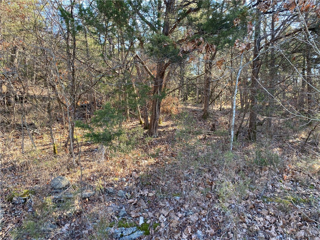 14 Hillside Drive 10