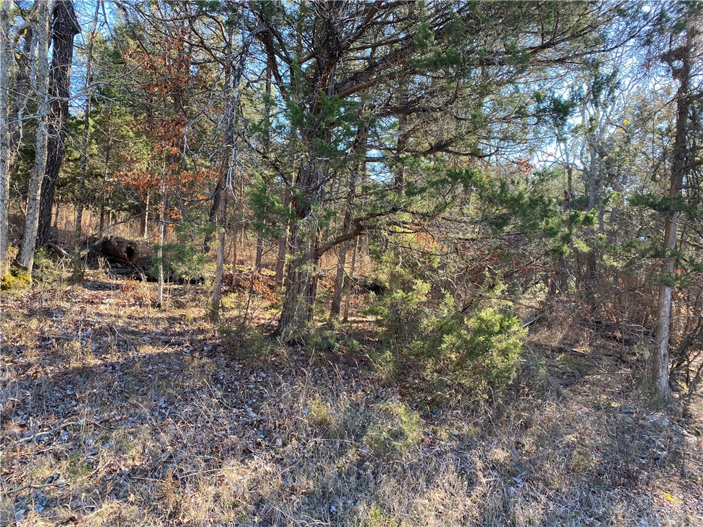 14 Hillside Drive 10