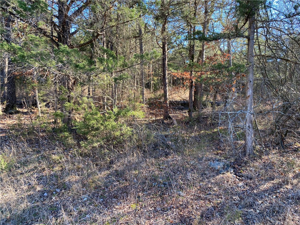 14 Hillside Drive 10