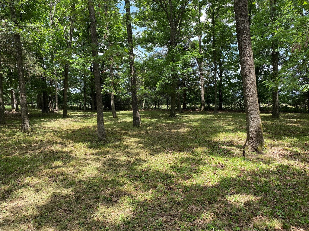 73 Venus Avenue