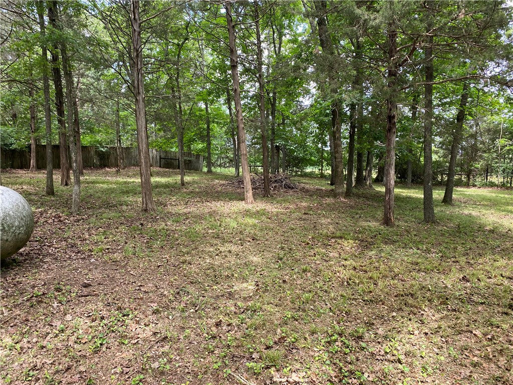 73 Venus Avenue