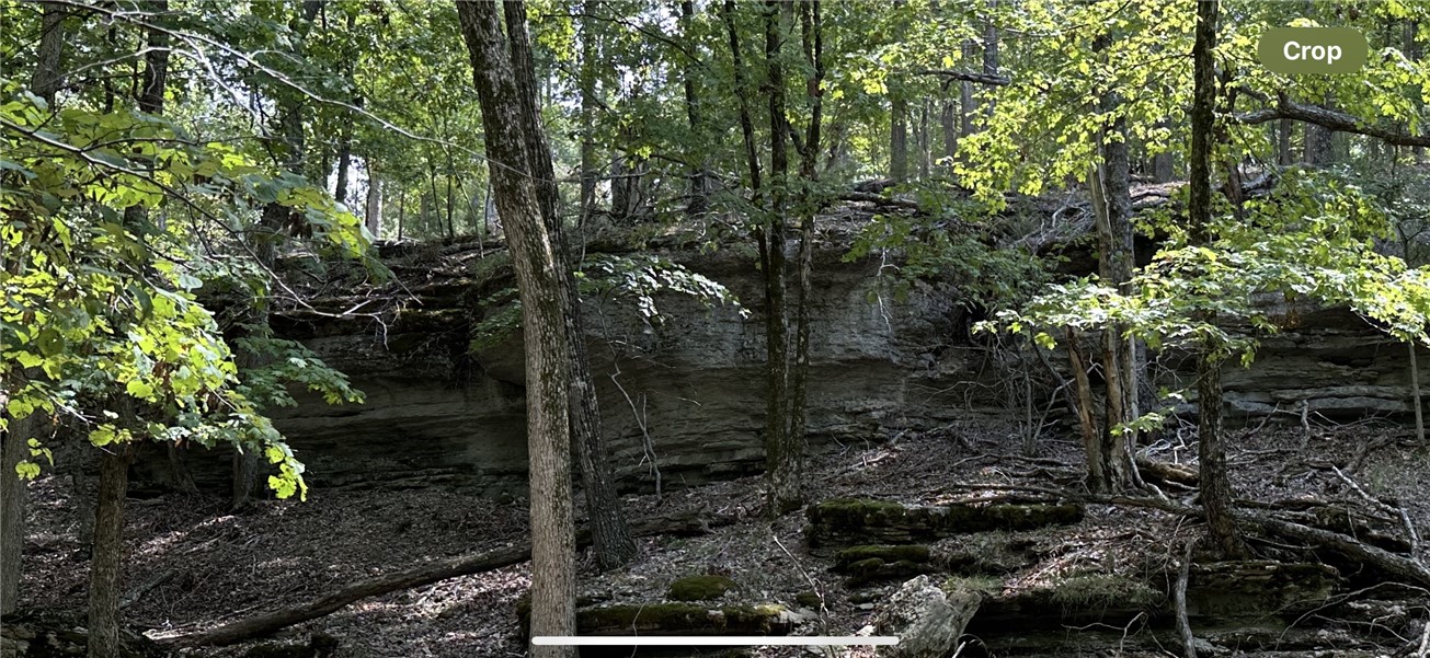 914 County Road 156