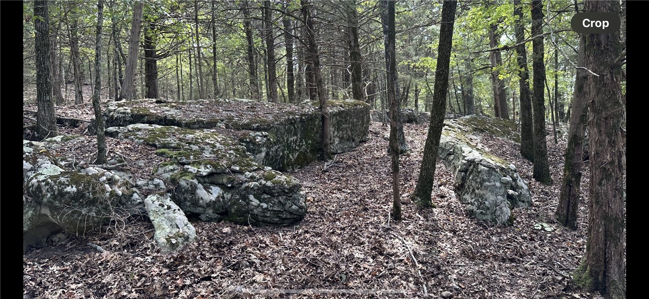 914 County Road 156