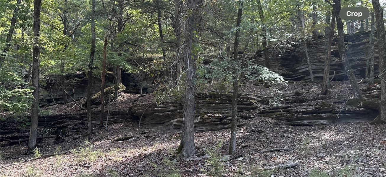914 County Road 156
