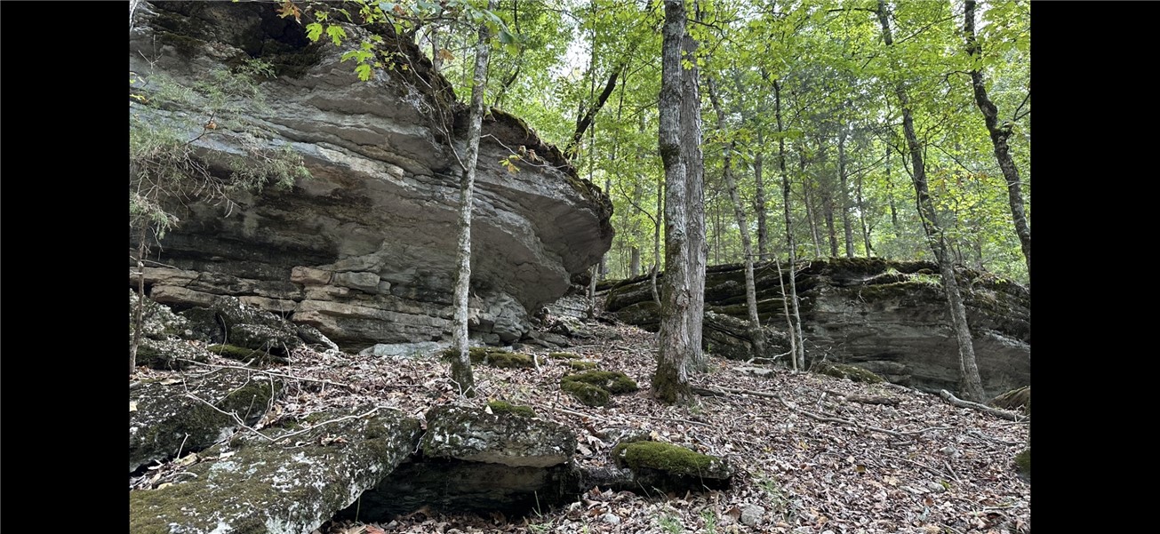 914 County Road 156