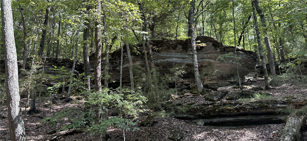 914 County Road 156