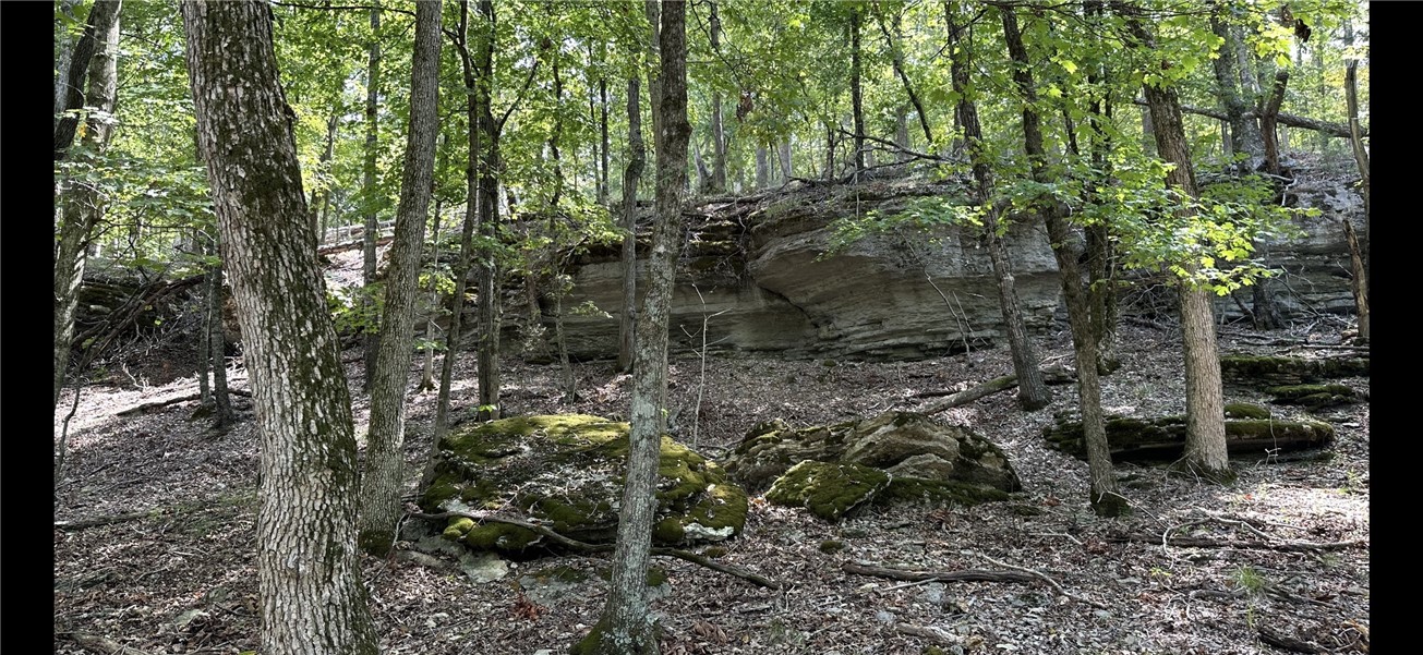 914 County Road 156