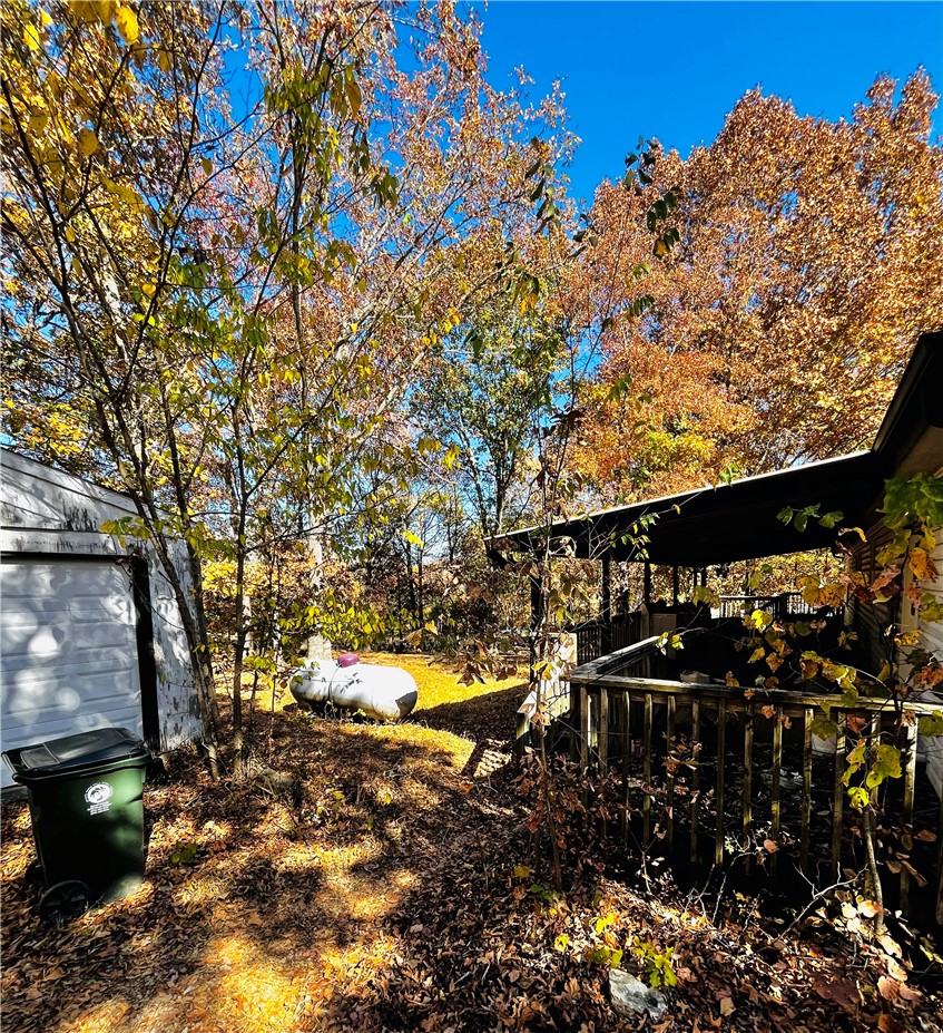 77 Venus Avenue