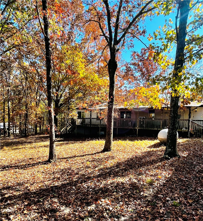 77 Venus Avenue