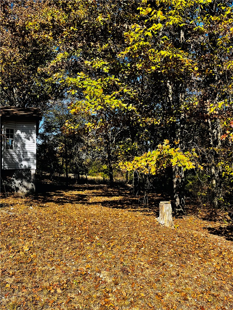 77 Venus Avenue
