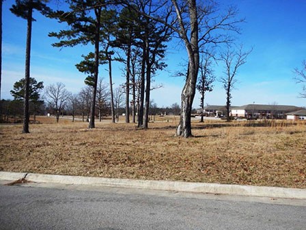 43 Park Drive