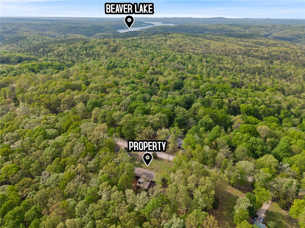 9980 Kirk Hollow Road