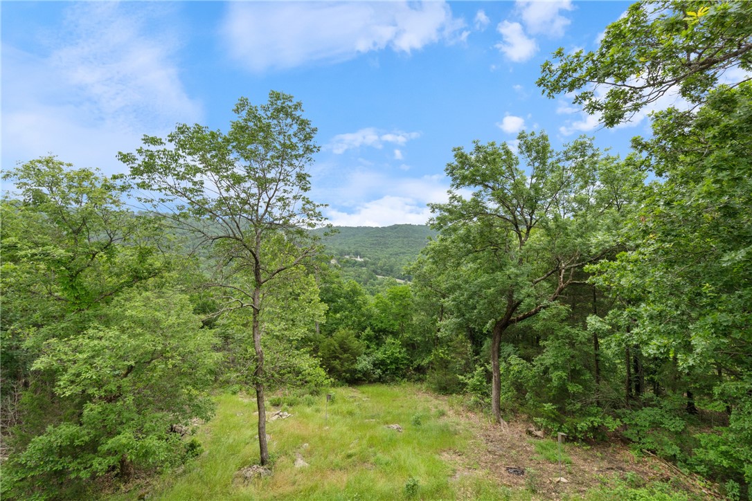 74 Twin Peak Drive