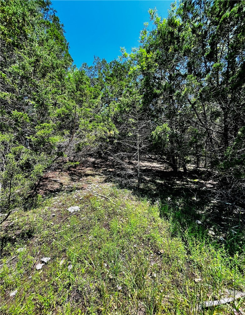 Table Rock Drive 5
