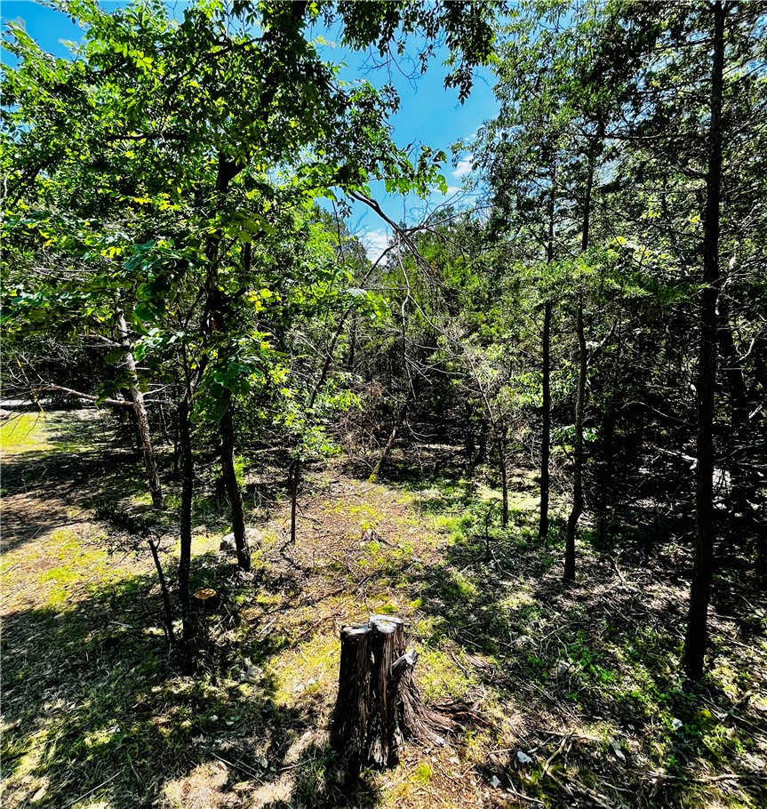 Table Rock Drive 5