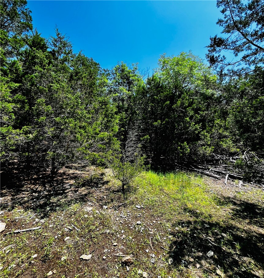 Table Rock Drive 5