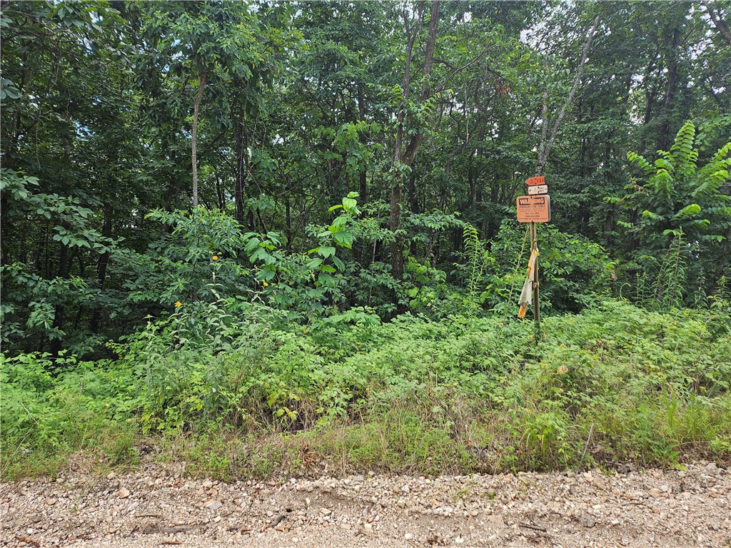 TBD County Road 224