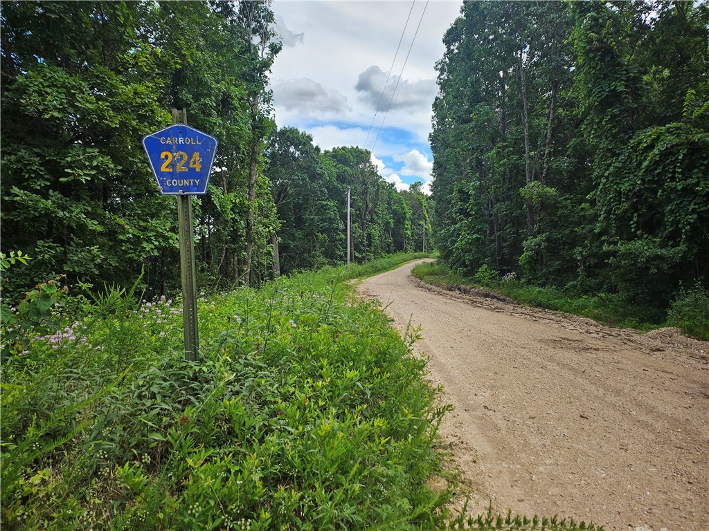 TBD County Road 224