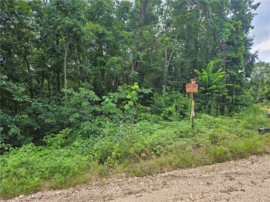 TBD County Road 224
