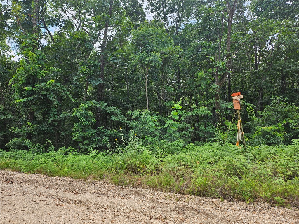 TBD County Road 224
