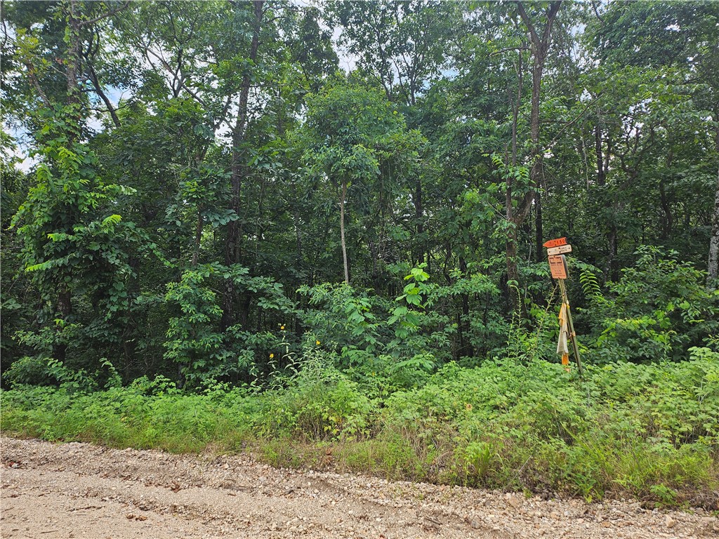 TBD County Road 224