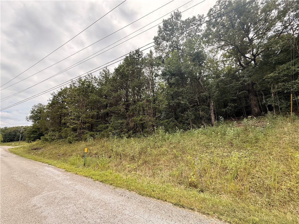 Lot 24 Thunderbird Drive