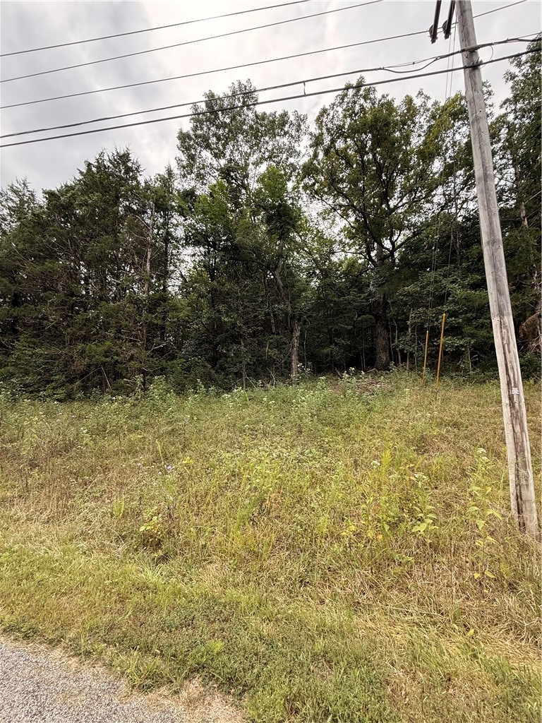 Lot 24 Thunderbird Drive