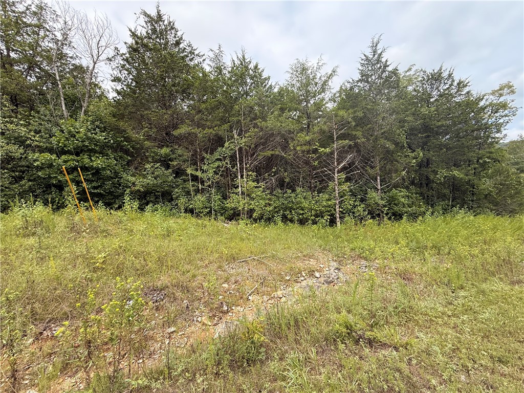 Lot 24 Thunderbird Drive