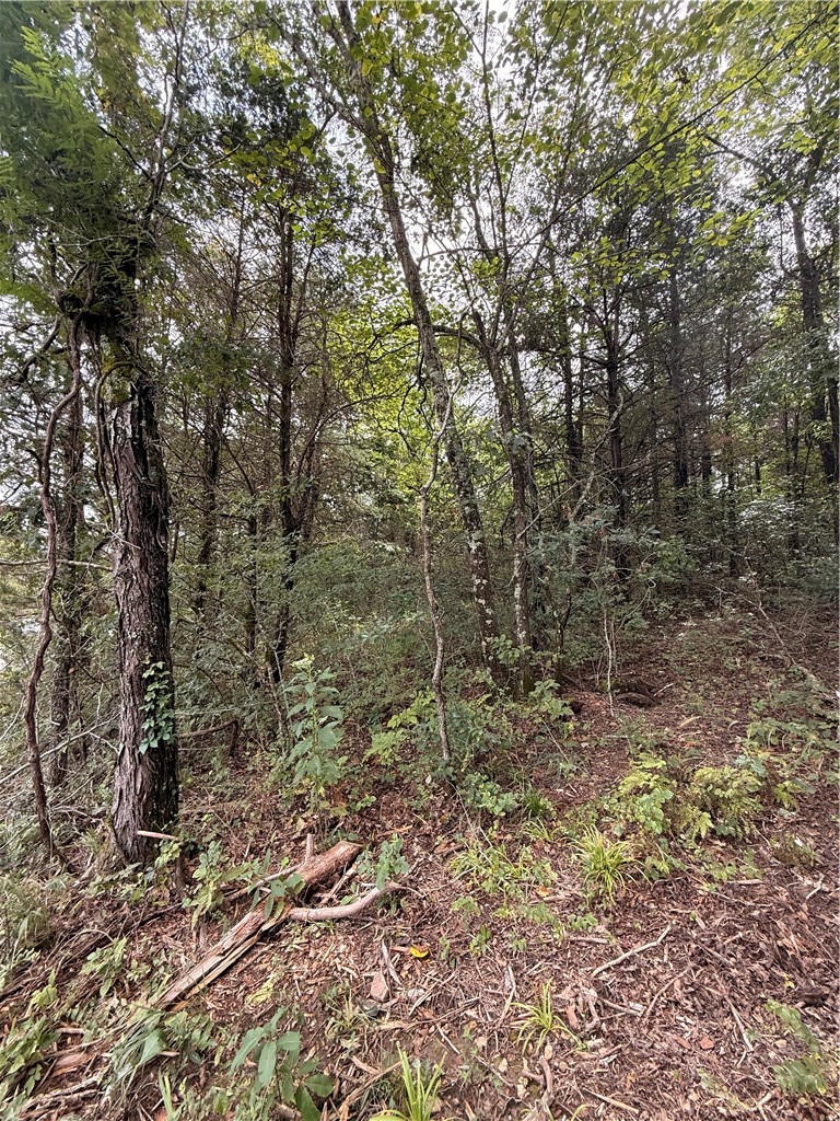 Lot 24 Thunderbird Drive