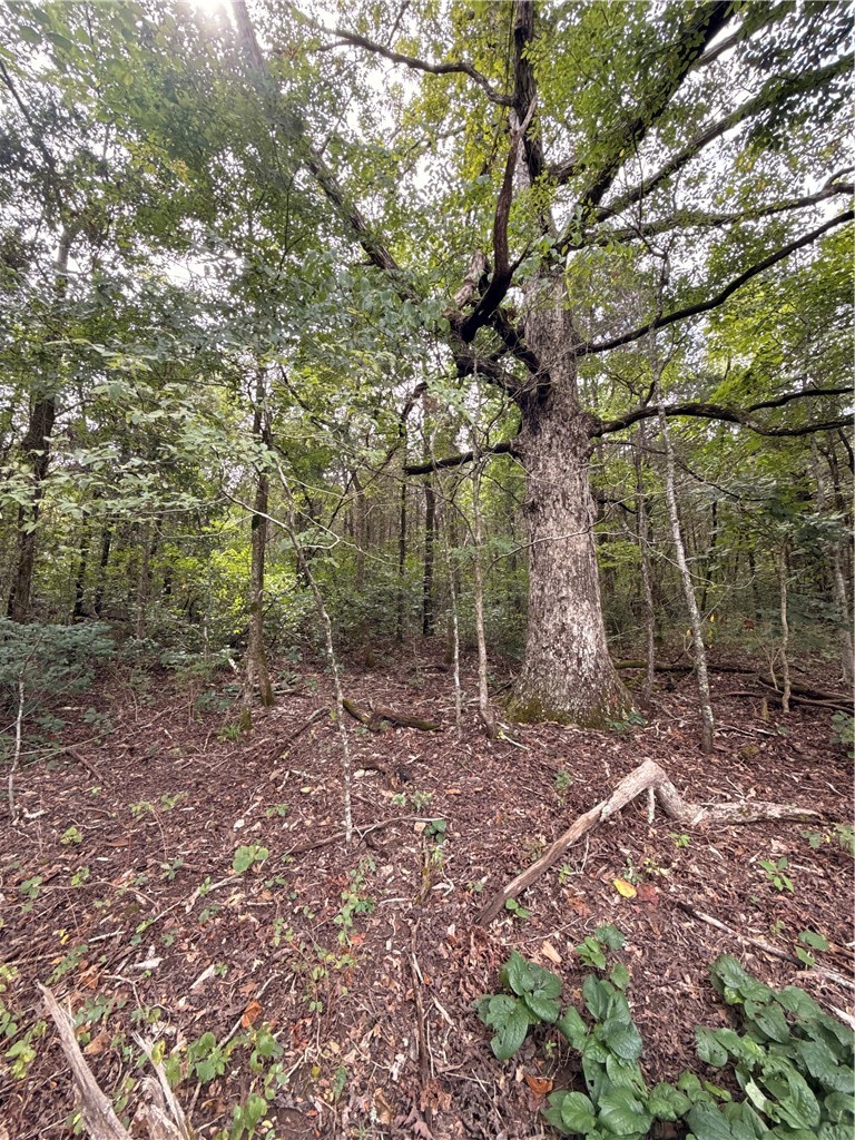 Lot 24 Thunderbird Drive