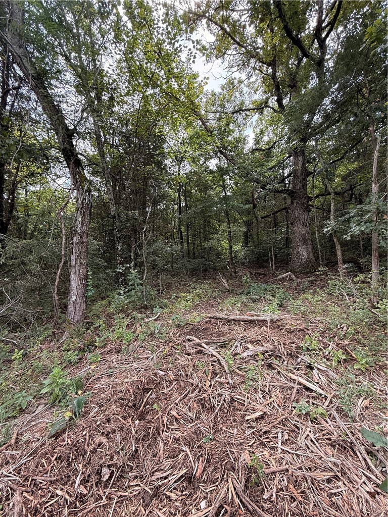 Lot 24 Thunderbird Drive