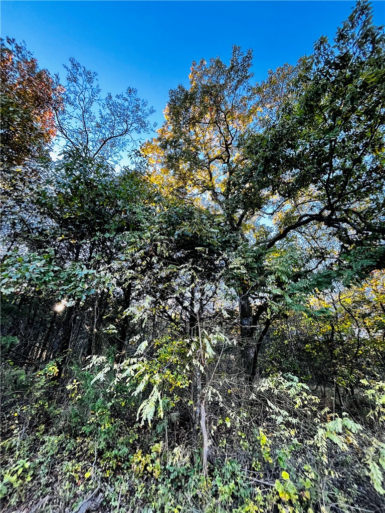Eagle Drive 6