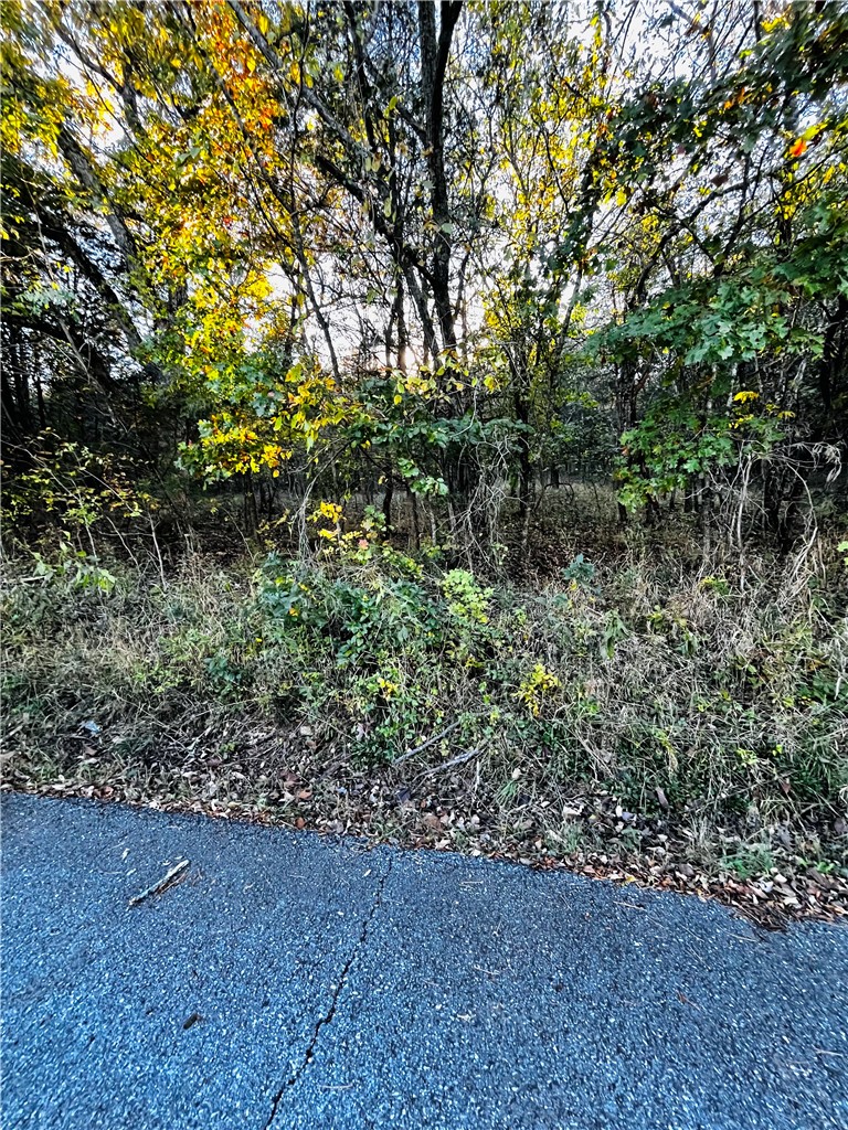 Eagle Drive 6