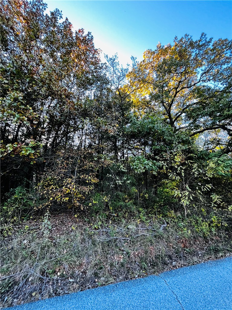 Eagle Drive 6