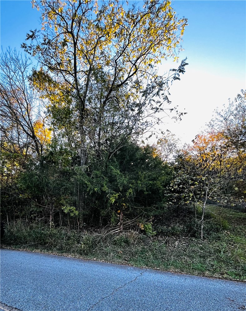 Eagle Drive 6
