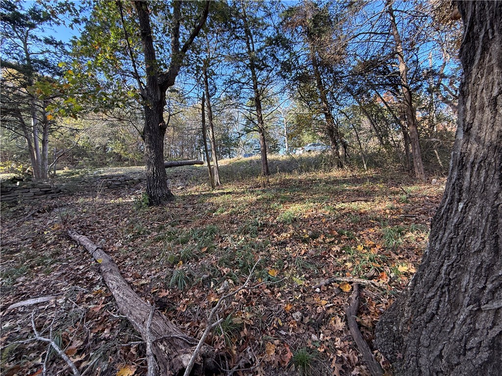 TBD Twin Peak Drive