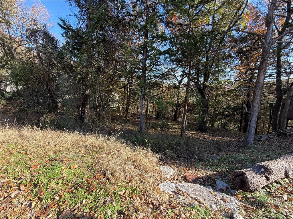 TBD Twin Peak Drive