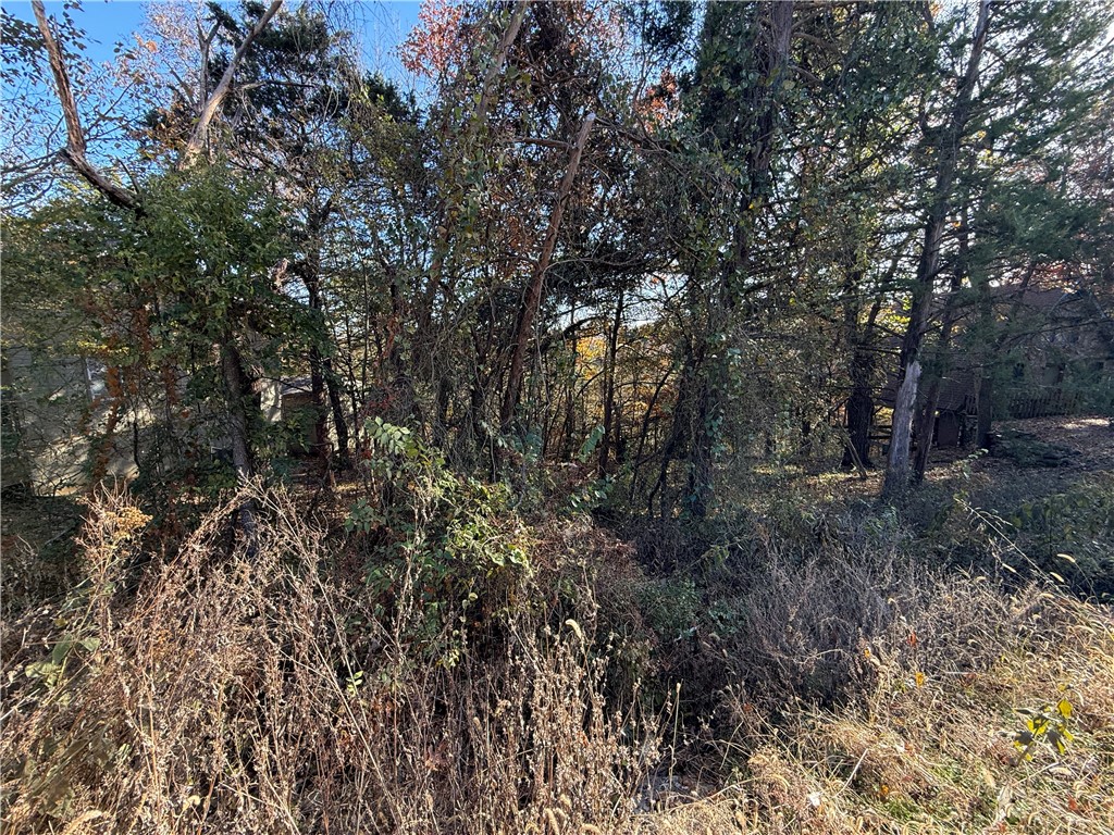 TBD Twin Peak Drive
