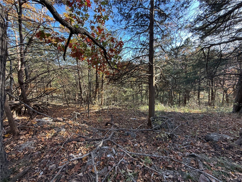 TBD Twin Peak Drive