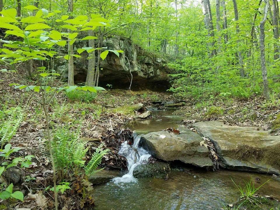 14603 Locust Mountain Road