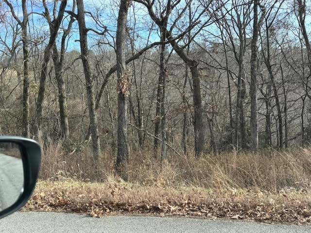7 S Hills Loop