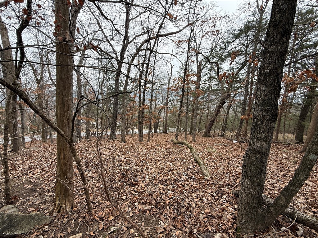 TBD Beaver Drive