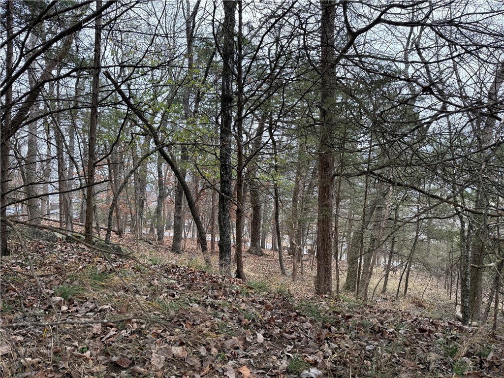 TBD Beaver Drive