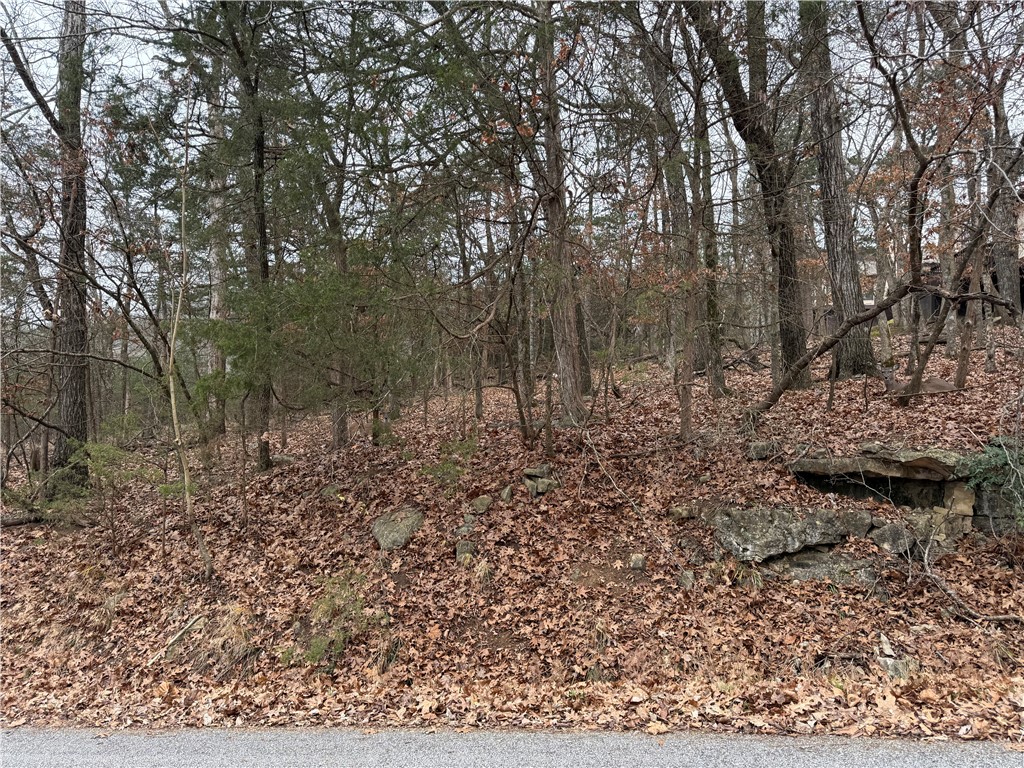 TBD Beaver Drive