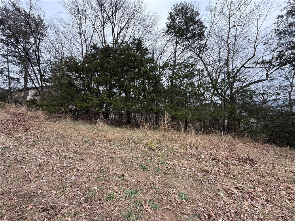 TBD Beaver Drive