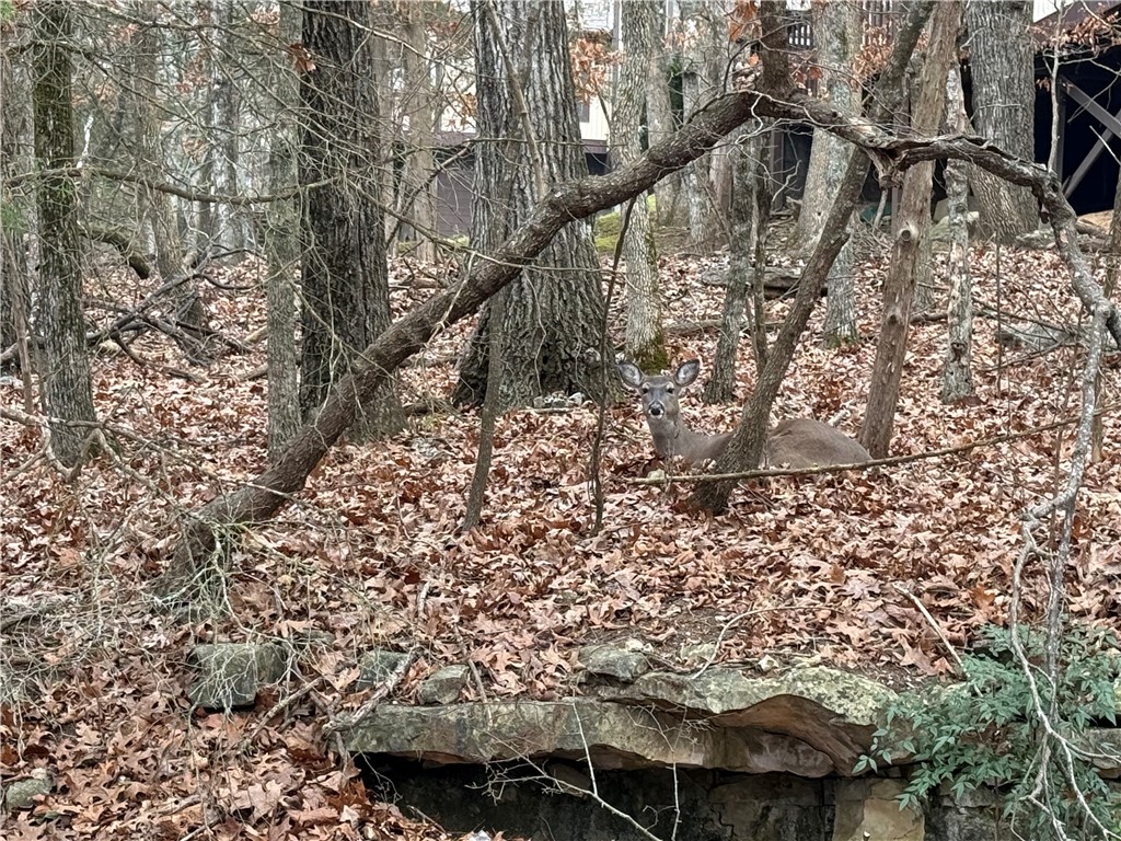 TBD Beaver Drive
